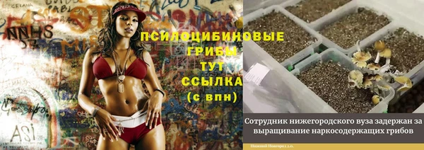 spice Алексеевка