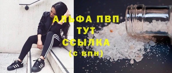 винт Алзамай