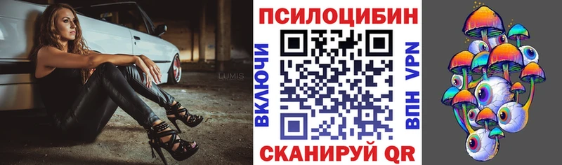 Псилоцибиновые грибы прущие грибы  Бологое 