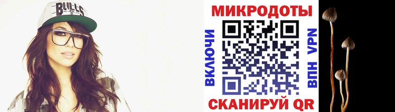 Псилоцибиновые грибы мухоморы Бологое